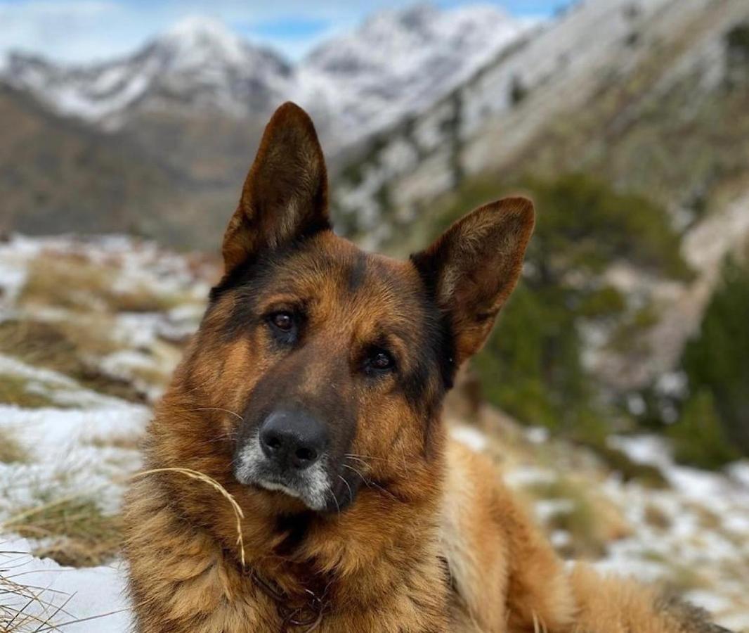 Cal Domenec Rialp - Duplex Con Encanto - Se Admiten Mascotas Buitenkant foto